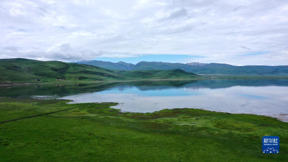 永利公司开户